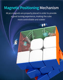 D ETERNAL Magnity Magnetic Cube Combo Set of 2M 2x2 3M 3x3 4M 4x4 5M 5x5 High Speed Stickerless Magic Cube Puzzle (MAGENTIC)